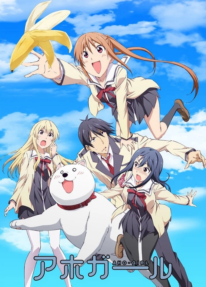 Дурочка постер