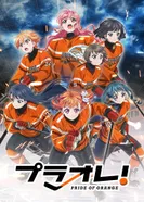 Постер Гордость оранжевых!