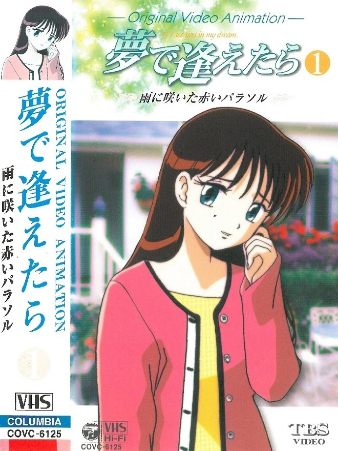 Увидеть тебя в моих мечтах постер