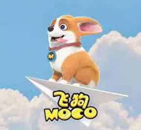 Постер Fei Gou Moco